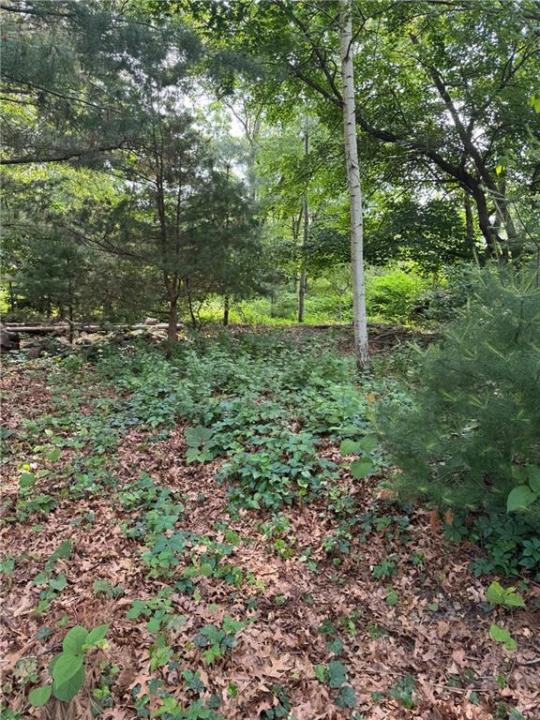 Elmwood Avenue, Warwick, Rhode Island 02888