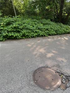 Elmwood Avenue, Warwick, Rhode Island 02888