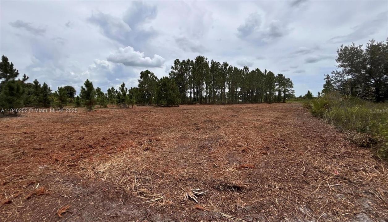 18121 NW 304 th st, Okeechobee, فلوريدا 34972, الولايات المتحدة