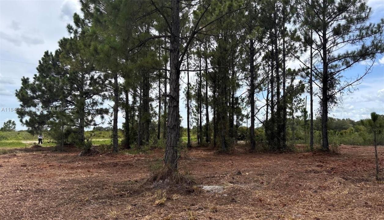 18121 NW 304 th st, Okeechobee, فلوريدا 34972, الولايات المتحدة