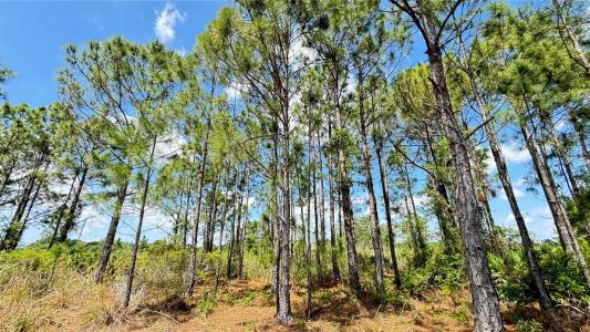 18121 NW 304 th st, Okeechobee, Florida 34972, USA