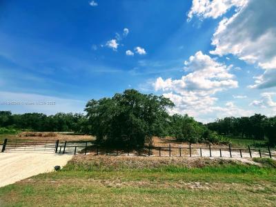 18678 NW 284 st, Okeechobee, Florida 34972, USA