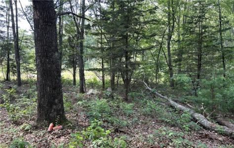 12 Fallon Trail, Westerly, RI 02891, USA