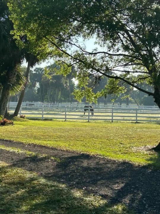 14095 Biddex Road, Loxahatchee, Floride 33470, États-Unis