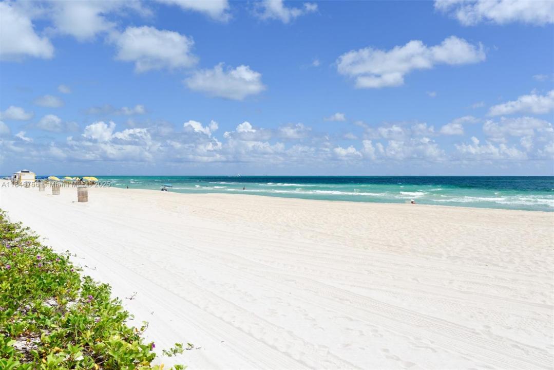 6039 Collins Ave 937, Miami Beach, فلوريدا 33140, الولايات المتحدة