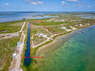 Lower Keys, Florida 33042, USA