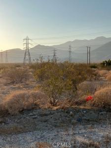 Fremontia Road, Whitewater, Californie 92282, États-Unis