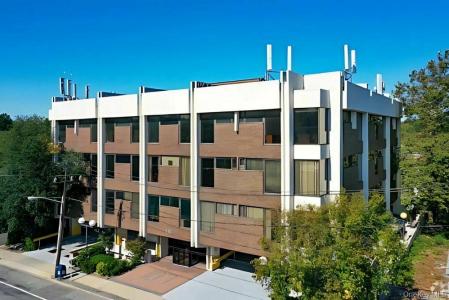 107 Blvd N, North Hempstead, New York 11021, Amerika Birleşik Devletleri