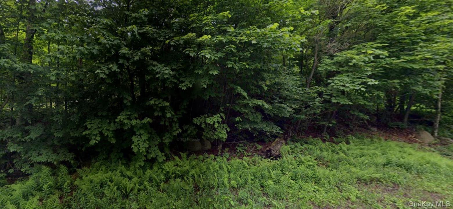 375A Davos Road, Fallsburg, New York 12789, USA