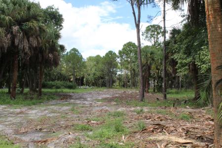 1275 Arabian Drive, FOX TRAIL, Loxahatchee, Florida 33470