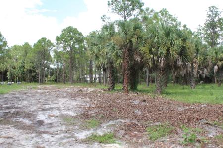 1275 Arabian Drive, FOX TRAIL, Loxahatchee, Florida 33470