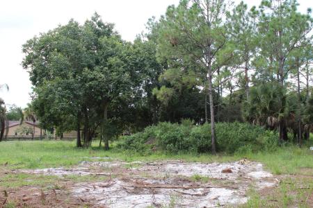 1275 Arabian Drive, FOX TRAIL, Loxahatchee, Florida 33470