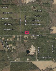 00 Unassigned Location RE, Palatka, Florida 32177, USA