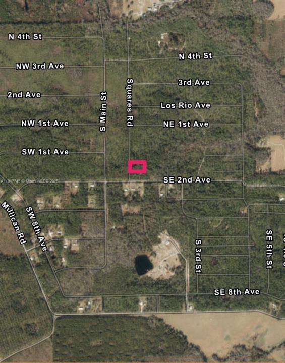 00 Unassigned Location RE, Palatka, Florida 32177