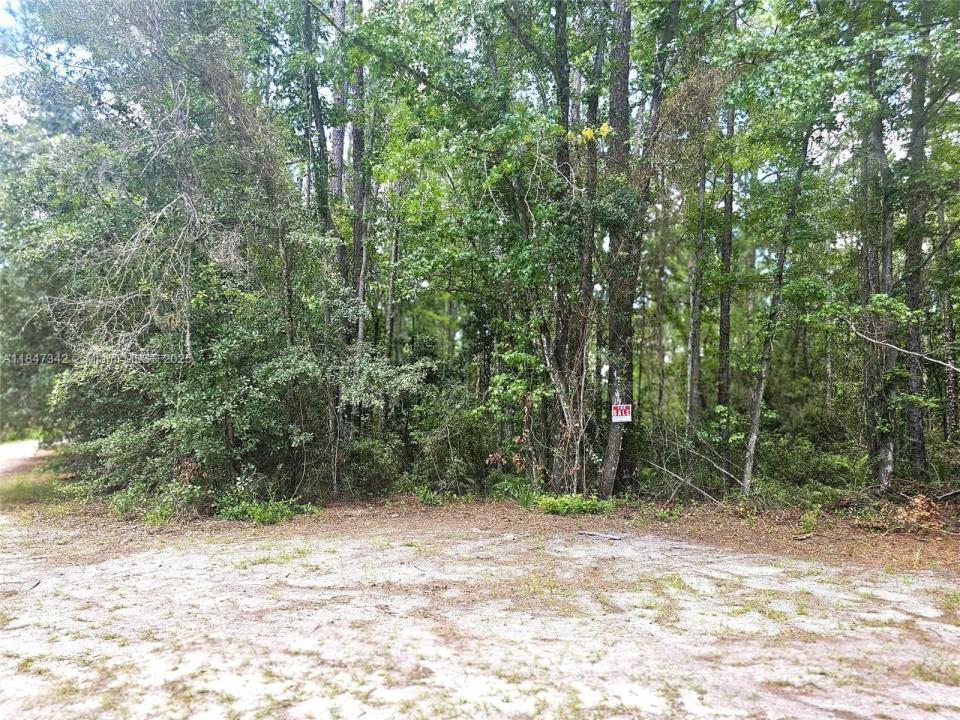 0 Unassigned Location Re, Palatka, Florida 32177
