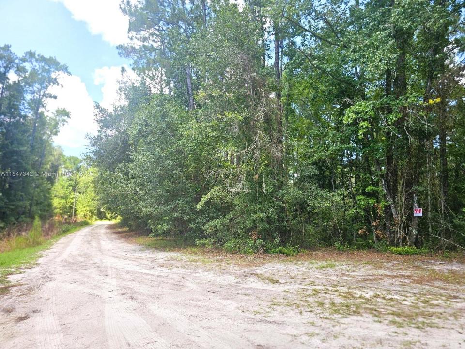 0 Unassigned Location Re, Palatka, Florida 32177