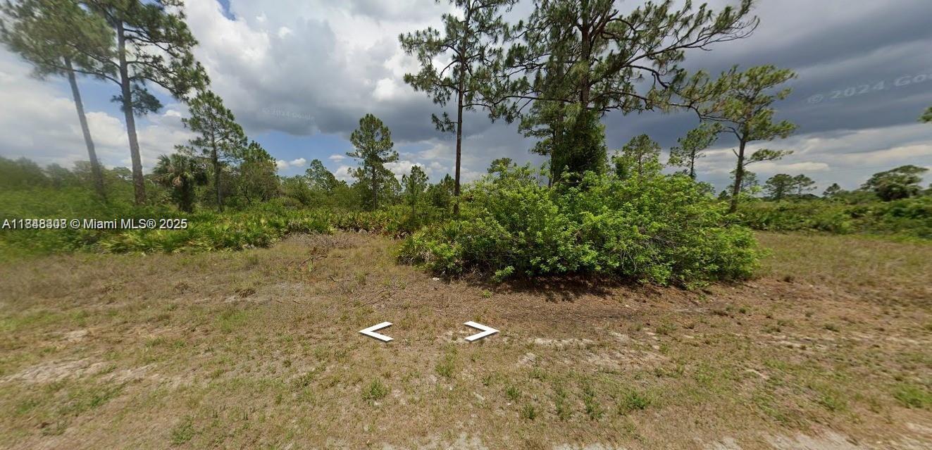 1402 Plumosa Avenue, Lehigh Acres, Florida 33972, HOA KỲ