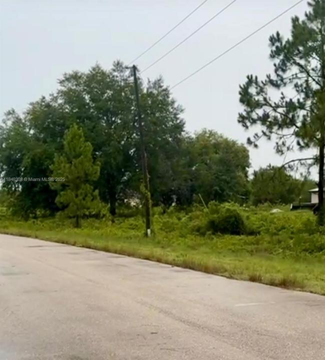 1402 Plumosa Avenue, Lehigh Acres, Florida 33972, HOA KỲ