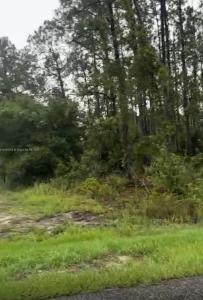 1402 Plumosa Avenue, Lehigh Acres, Florida 33972, USA