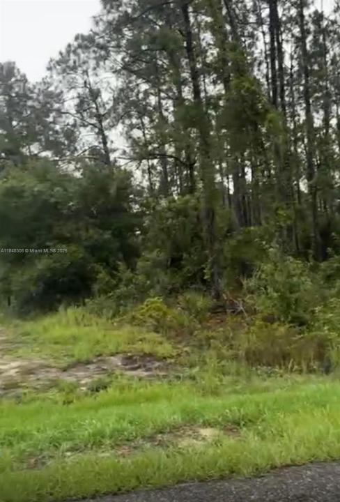 1402 Plumosa Avenue, Lehigh Acres, Florida 33972, HOA KỲ