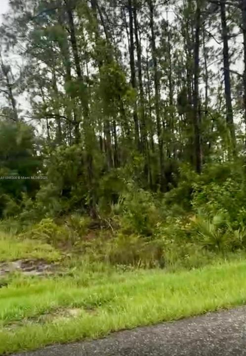 1402 Plumosa Avenue, Lehigh Acres, Florida 33972, HOA KỲ