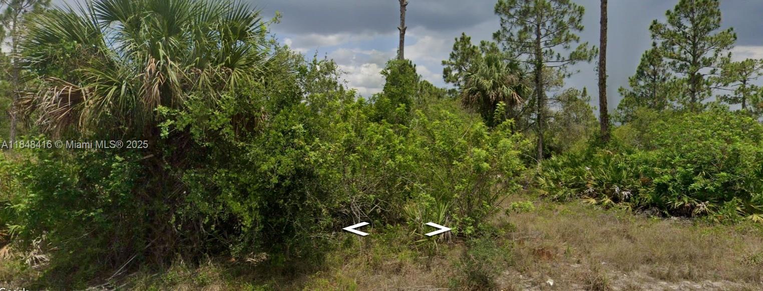 Lehigh Acres, Florida 33972
