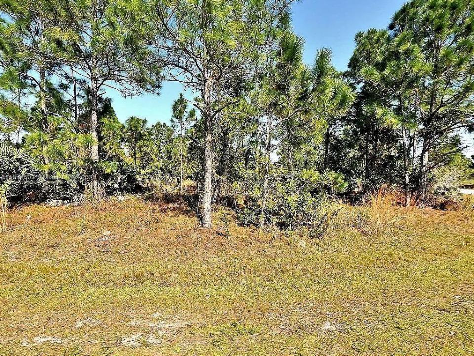 5543 NW South Lundy Cir, Port St. Lucie, フロリダ 34986, アメリカ合衆国