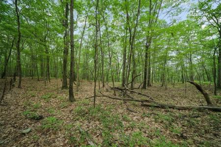 Stag Hill Road, Monroe, Nueva York 10950, Estados Unidos