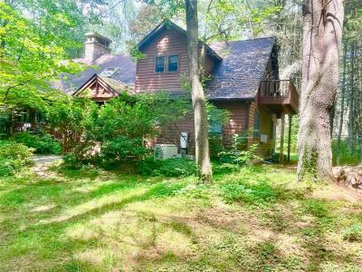 111 Deer Meadow Road, Bethel, ניו יורק 12720, ארצות הברית של אמריקה 