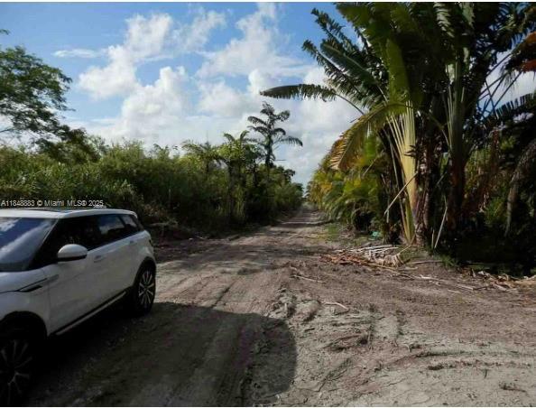 SW 212th Ave, Unincorporated Dade County, Florida 33034