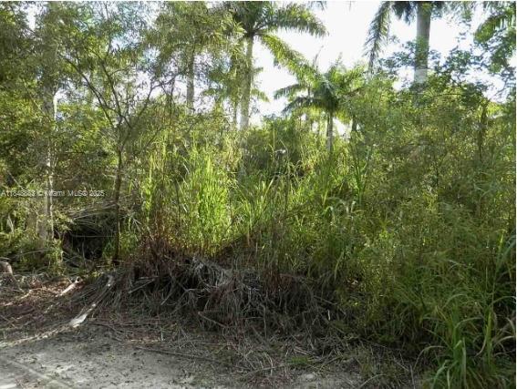 SW 212th Ave, Unincorporated Dade County, Florida 33034