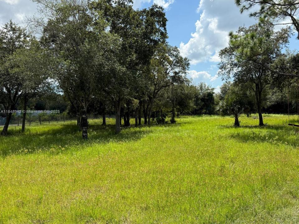 Clewiston, Florida 33440, Stati Uniti