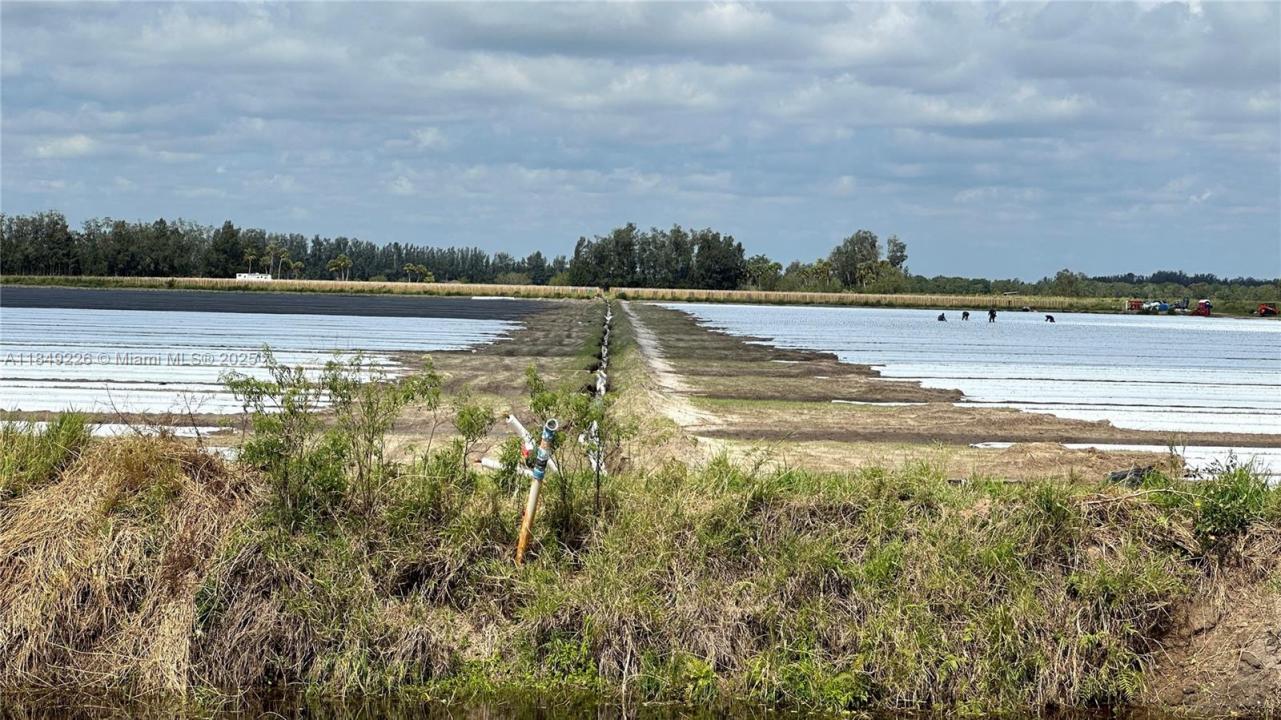 595 N HEADER CANAL ROAD 0, Fort Pierce, فلوريدا 34945, الولايات المتحدة