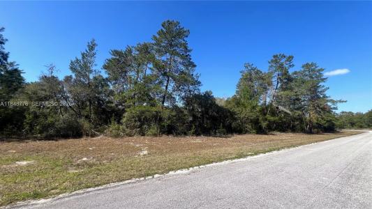 32nd Cir / Marion Oaks Blvd, Ocala, Florida 34473, Stati Uniti