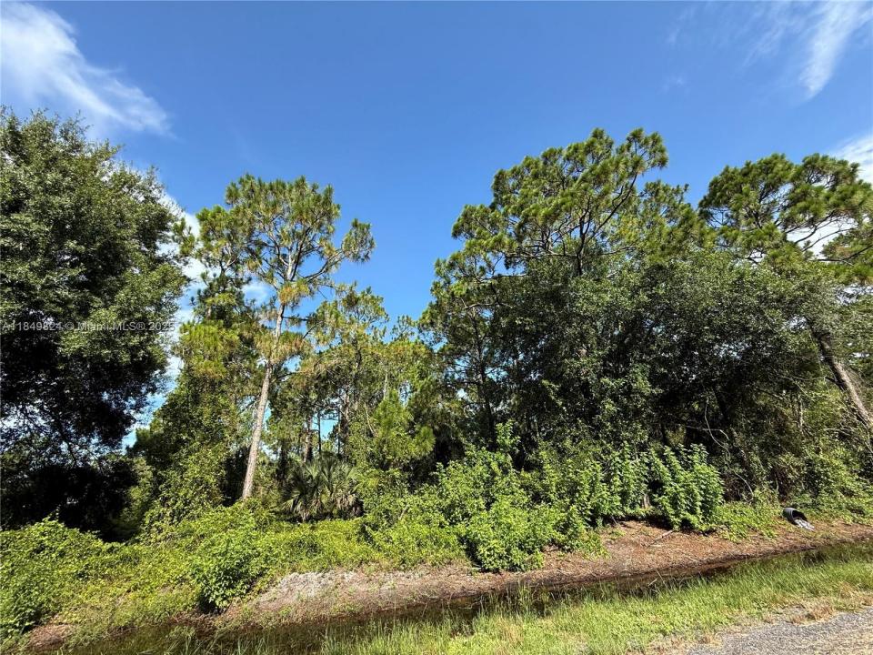 430 N SENDERO ST, Clewiston, פלורידה 33440, ארצות הברית של אמריקה