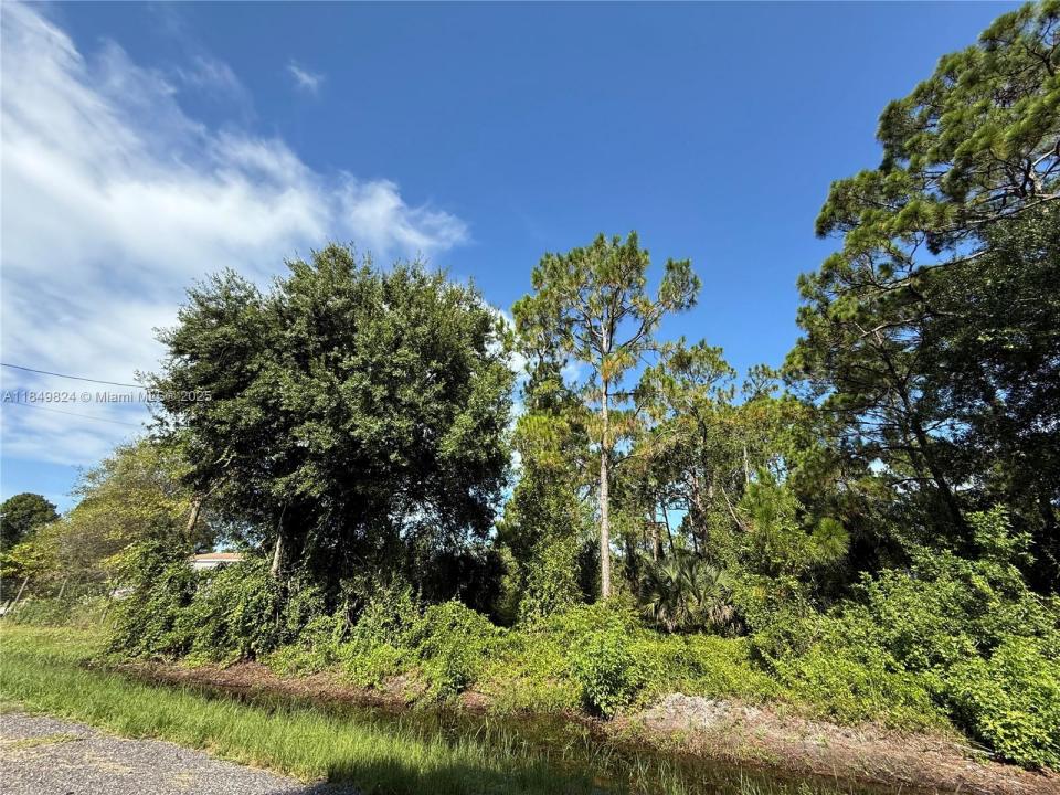 430 N SENDERO ST, Clewiston, פלורידה 33440, ארצות הברית של אמריקה