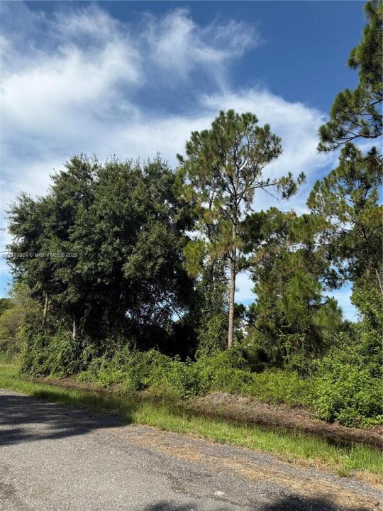 430 N SENDERO ST, Clewiston, פלורידה 33440, ארצות הברית של אמריקה