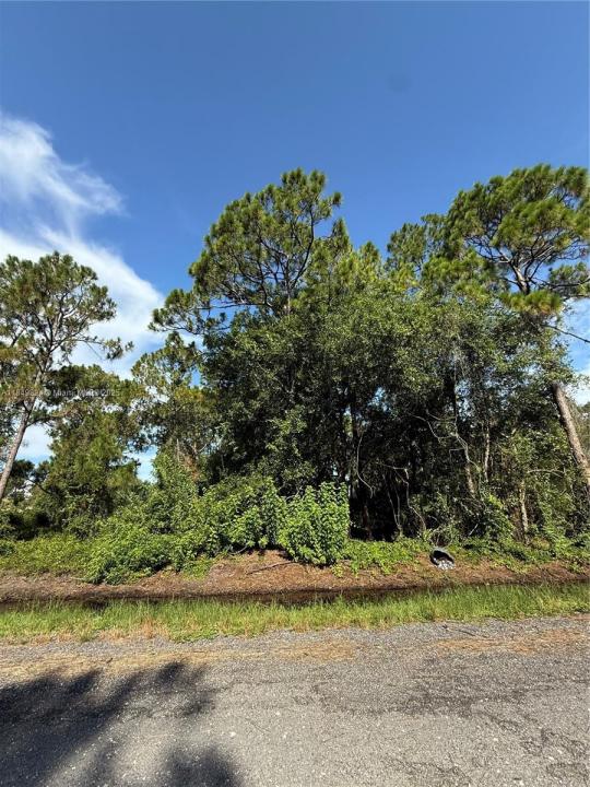 430 N SENDERO ST, Clewiston, פלורידה 33440, ארצות הברית של אמריקה