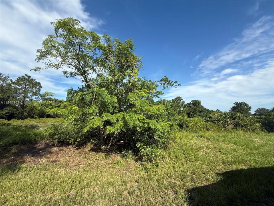 370 N PALOMINO ST, Clewiston, פלורידה 33440, ארצות הברית של אמריקה