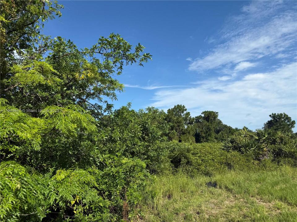 370 N PALOMINO ST, Clewiston, פלורידה 33440, ארצות הברית של אמריקה