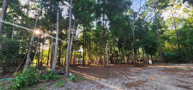 3335 Dellwood Road, Loxahatchee, Florida 33470