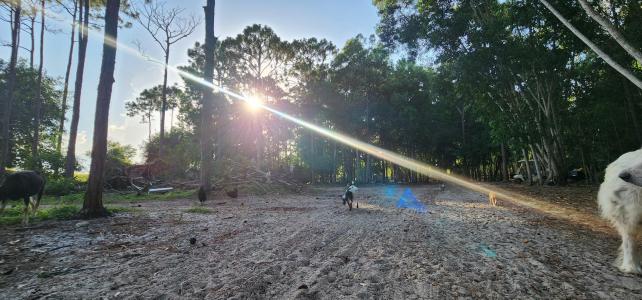 3335 Dellwood Road, Loxahatchee, Florida 33470