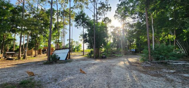 3335 Dellwood Road, Loxahatchee, Florida 33470