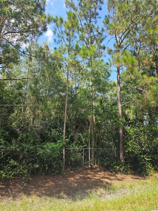 xxxx N 63rd Lane N, West Palm Beach, Florida 33412, Stati Uniti