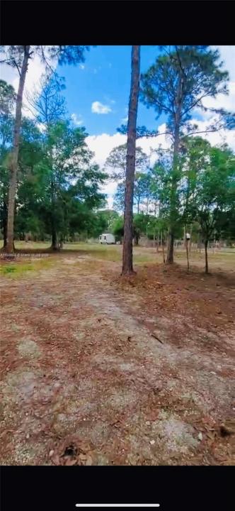 740 N Willow st, Clewiston, Florida 33440, Stati Uniti