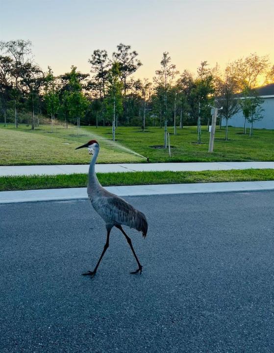 1121 E 172nd Court, Bradenton, Florida 34212