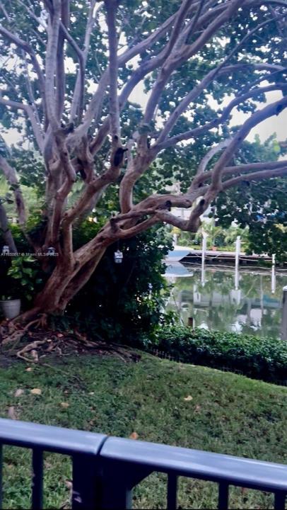 6855 Edgewater Dr 1CS, Coral Gables, 佛羅里達州 33133, 美國