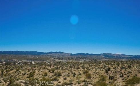 Avalon Avenue, Yucca Valley, كاليفورنيا 92284, الولايات المتحدة