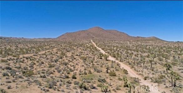 Avalon Avenue, Yucca Valley, كاليفورنيا 92284, الولايات المتحدة