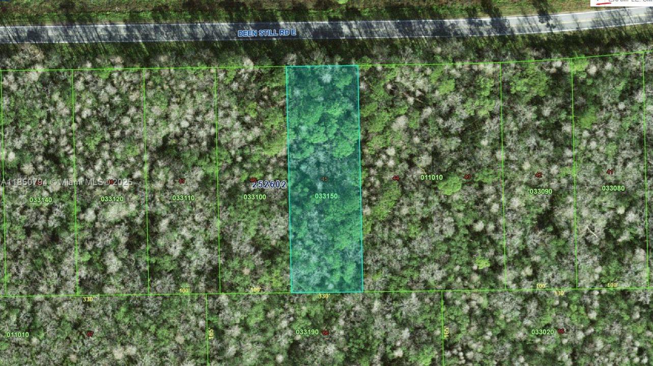 0 DEEN STILL RD E, Florida 33868, Amerika Birleşik Devletleri
